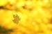 2005-10-29-193